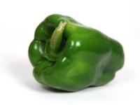 poivron vert