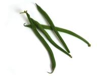 Haricot Vert Phoenix