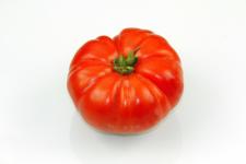 Tomate Marmande