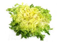 Salade Frisée