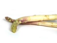 Asperges blanches COURTES