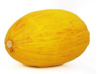 Melon jaune