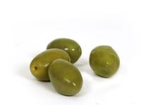 Olives Picholine du Gard