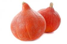 Potimarron