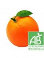 Orange BIO
