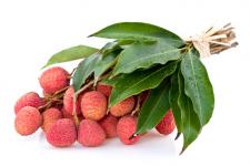 Litchi Avion
