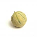 Melon Charentais