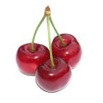 Cerises