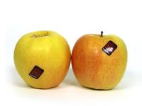 Pomme Golden