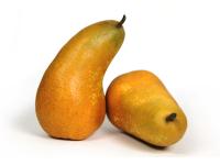 Poire Abate