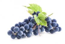 Raisin Muscat d'Hambourg