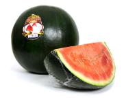 Pastèque