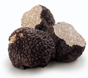 Truffe noire FRAICHE melanosporom